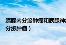 胰腺內(nèi)分泌腫瘤和胰腺神經(jīng)內(nèi)分泌腫瘤（什么是胰腺神經(jīng)內(nèi)分泌腫瘤）