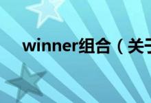 winner組合（關(guān)于winner組合的介紹）