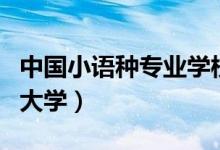 中國(guó)小語(yǔ)種專(zhuān)業(yè)學(xué)校排名(最好的幾所小語(yǔ)種大學(xué))