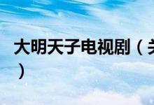 大明天子電視?。P(guān)于大明天子電視劇的介紹）