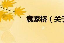 袁家橋（關于袁家橋的介紹）