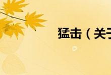 猛擊（關(guān)于猛擊的介紹）
