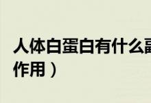 人體白蛋白有什么副作用（人體白蛋白有什么作用）