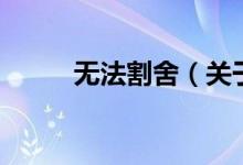 無法割舍（關(guān)于無法割舍的介紹）