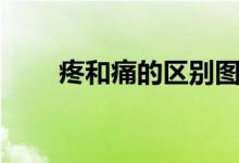 疼和痛的區(qū)別圖片（疼和痛的區(qū)別）