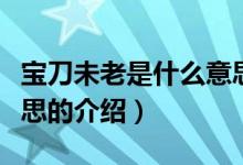 寶刀未老是什么意思（關于寶刀未老是什么意思的介紹）