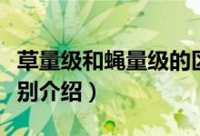 草量級和蠅量級的區(qū)別（草量級和蠅量級的區(qū)別介紹）
