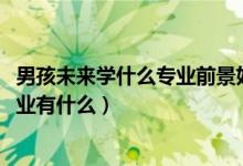 男孩未來學什么專業(yè)前景好（2022男生未來發(fā)展好的大學專業(yè)有什么）