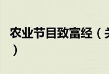 農(nóng)業(yè)節(jié)目致富經(jīng)（關(guān)于農(nóng)業(yè)節(jié)目致富經(jīng)的介紹）