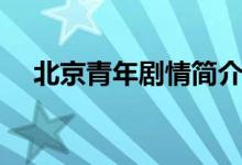 北京青年劇情簡介(北京青年劇情介紹)