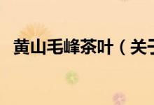 黃山毛峰茶葉（關(guān)于黃山毛峰茶葉的介紹）