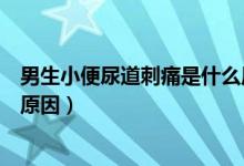 男生小便尿道刺痛是什么原因(男性小便時(shí)尿道刺痛是什么原因)