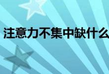注意力不集中缺什么(注意力不集中缺什么)