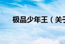 極品少年王（關(guān)于極品少年王的介紹）