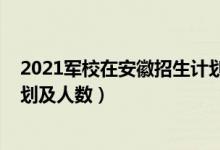 2021軍校在安徽招生計(jì)劃（2022各大軍校在安徽的招生計(jì)劃及人數(shù)）