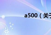 a500（關(guān)于a500的介紹）