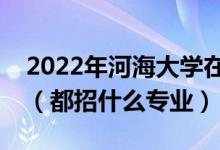2022年河海大學(xué)在河南招生計(jì)劃及招生人數(shù)（都招什么專業(yè)）