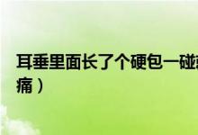 耳垂里面長了個硬包一碰就痛（耳垂里面長了個硬包一按就痛）