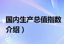 國(guó)內(nèi)生產(chǎn)總值指數(shù)（關(guān)于國(guó)內(nèi)生產(chǎn)總值指數(shù)的介紹）