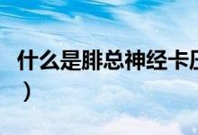什么是腓總神經(jīng)卡壓綜合征（什么是腓總神經(jīng)）