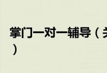 掌門一對一輔導(dǎo)（關(guān)于掌門一對一輔導(dǎo)的介紹）