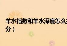 羊水指數(shù)和羊水深度怎么換算（羊水指數(shù)和羊水深度怎么區(qū)分）