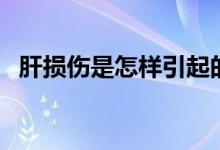 肝損傷是怎樣引起的（肝損傷是怎么回事）