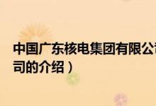 中國廣東核電集團(tuán)有限公司（關(guān)于中國廣東核電集團(tuán)有限公司的介紹）