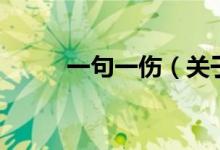 一句一傷(關(guān)于一句一傷的介紹)