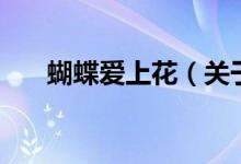蝴蝶愛上花（關(guān)于蝴蝶愛上花的介紹）