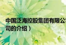 中國泛?？毓杉瘓F有限公司（關(guān)于中國泛?？毓杉瘓F有限公司的介紹）