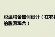 脫溫雞舍如何設(shè)計(jì)（在農(nóng)村怎樣建造一個(gè)5000～10000只雞的脫溫雞舍）