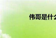 偉哥是什么（偉哥介紹）