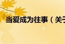當愛成為往事（關(guān)于當愛成為往事的介紹）