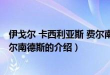伊戈爾 卡西利亞斯 費爾南德斯（關于伊戈爾 卡西利亞斯 費爾南德斯的介紹）