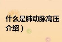 什么是肺動(dòng)脈高壓（關(guān)于什么是肺動(dòng)脈高壓的介紹）