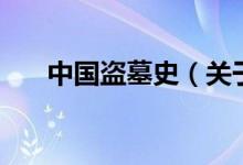 中國盜墓史（關(guān)于中國盜墓史的介紹）
