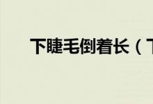 下睫毛倒著長（下睫毛倒著長怎么辦）