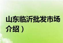 山東臨沂批發(fā)市場（關(guān)于山東臨沂批發(fā)市場的介紹）