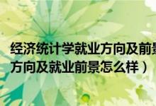 經(jīng)濟(jì)統(tǒng)計學(xué)就業(yè)方向及前景分析（2022經(jīng)濟(jì)統(tǒng)計學(xué)專業(yè)就業(yè)方向及就業(yè)前景怎么樣）