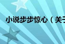 小說步步驚心（關于小說步步驚心的介紹）