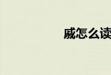 戚怎么讀（戚如何讀）