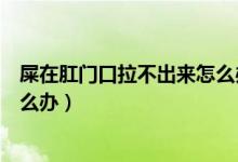 屎在肛門口拉不出來怎么辦硬硬的（屎在肛門口拉不出來怎么辦）