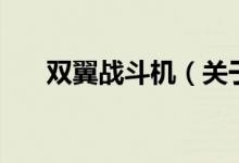 雙翼戰(zhàn)斗機(jī)（關(guān)于雙翼戰(zhàn)斗機(jī)的介紹）