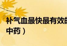 補氣血最快最有效的粥（補氣血最快最有效的中藥）
