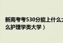 新高考考530分能上什么大學(xué)（2022高考530分左右能上什么護理學(xué)類大學(xué)）
