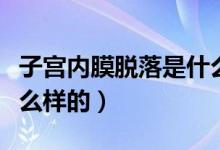 子宮內(nèi)膜脫落是什么預(yù)兆（子宮內(nèi)膜脫落是什么樣的）