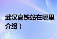 武漢高鐵站在哪里（關(guān)于武漢高鐵站在哪里的介紹）