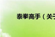 泰拳高手(關(guān)于泰拳高手的介紹)