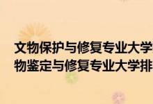 文物保護(hù)與修復(fù)專業(yè)大學(xué)排名2020全國排行榜（2022年文物鑒定與修復(fù)專業(yè)大學(xué)排名）
